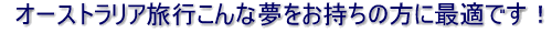 �I�[�X�g�����A���s����Ȗ����������̕��ɍœK�ł�